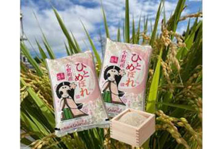 ߘa6NY쒬YЂƂ߂ڂ10kg(5kg×2)āy1629174z