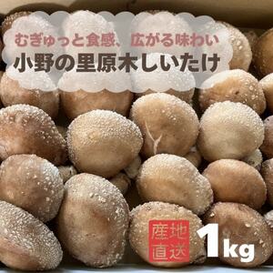 むぎゅと触感 広がる味わい 小野の里「原木しいたけ」1kg[配送不可地域:離島・北海道・沖縄県・東海・近畿・中国・四国・九州]