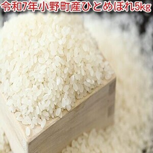 �y�V�āz�ߘa7�N���쒬�Y�ЂƂ߂ڂ�5kg�@���āy1691820�z