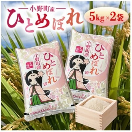 【毎月定期便】福島県小野町産ひとめぼれ 精米 10kg(5kg×2袋)全3回【4081889】