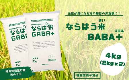 ならはう米GABA+ 4kg(2kg×2) [GABA米 福島 天のつぶ 白米 玄米 うるち米 栄養 楢葉町 福島県産 健康 機能性 軽洗米 アミノ酸 血圧低下 ストレス緩和 睡眠 リフレッシュ 安心安全 美味しい ダイエット ふるさと納税 白米ブレンド こめ 国産米 贈り物 お米ギフト ギフト ごはん ご当地]