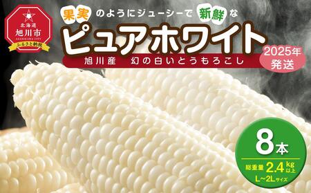 [先行予約]白いとうもろこしピュアホワイト 8本 2.4kg(2025年8月下旬〜発送開始予定) | とうもろこし とうもろこし とうもろこし とうもろこし とうもろこし コーン コーン コーン コーン コーン _04559