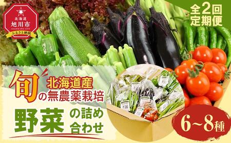 7・8月 計2回定期便 北海道産旬の無農薬栽培 野菜の詰め合わせ6〜8種類 | 野菜詰め合わせ 野菜詰め合わせ 野菜詰め合わせ 野菜詰め合わせ 野菜詰め合わせ 定期便 定期便 定期便 定期便 定期便 _04700