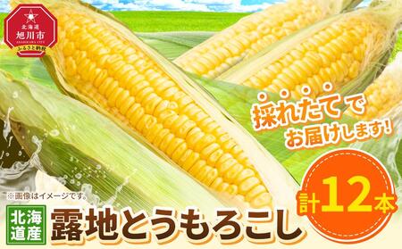 [先行予約]露地とうもろこし 合計12本 2025年8月下旬から発送開始予定 | とうもろこし とうもろこし とうもろこし とうもろこし とうもろこし コーン コーン コーン コーン コーン _04755