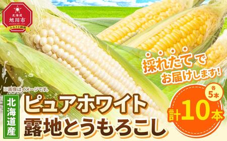 [先行予約]ピュアホワイト5本・露地とうもろこし5本 合計10本 2025年8月下旬から発送開始予定 | とうもろこし とうもろこし とうもろこし とうもろこし とうもろこし コーン コーン コーン コーン コーン _04756