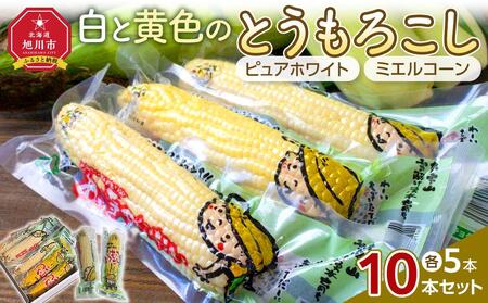[先行予約/2025年10月中旬より順次発送]白と黄色のとうもろこし10本セット(真空パック) | とうもろこし とうもろこし とうもろこし とうもろこし とうもろこし _04804