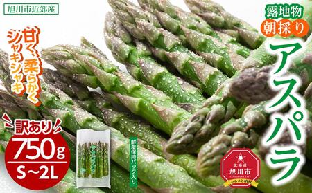 ◆2026年先行予約◆[訳あり]露地物朝採りアスパラ 750g×1 鮮度保持フィルム入り(5月中旬発送開始予定) | アスパラ アスパラ アスパラ アスパラ アスパラ アスパラ _04751