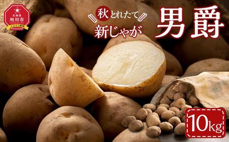 [先行予約]2025年10月より発送 新じゃが 男爵いも 10kg 北海道産のじゃがいも | じゃがいも じゃがいも じゃがいも じゃがいも じゃがいも _04858