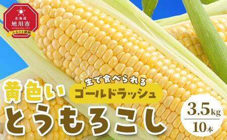 【先行予約】旭川近郊産　黄色いとうもろこし（ゴールドラッシュ）3.5kg（10本） | とうもろこし とうもろこし とうもろこし とうもろこし とうもろこし  _04842