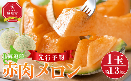 [先行予約] 北海道産赤肉メロン約1.3kg×1玉 (2025年7月中旬から発送予定) | メロン メロン メロン メロン メロン _05228