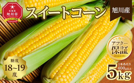 地元テレビで紹介![先行予約]糖度18〜19度! 北海道旭川産スイートコーン約5kg (2026年8月中旬発送開始予定) | とうもろこし とうもろこし_05256