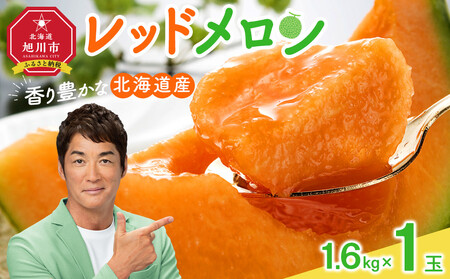 y26Ns\zL kCbh 1.6kg×1_05410