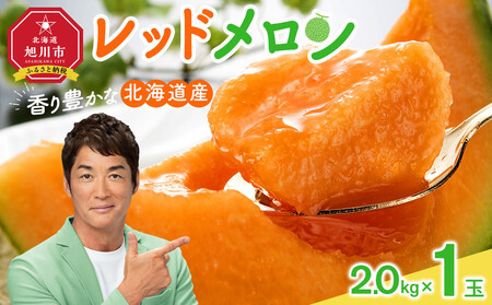 [26年発送先行予約]香り豊かな 北海道レッドメロン 2kg×1玉_05412