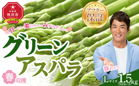 ys\ztnO[AXpLTCYi500g×3j1.5kgi2026N6{甭Jn\j| AXp kC_05530