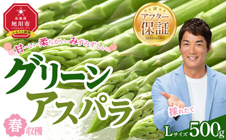 ys\ztnO[AXpLTCY@500gi2026N6{甭Jn\j| AXp kC_05529