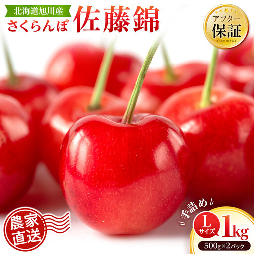 [先行予約]戸田果樹園 佐藤錦 Lサイズ1kg(500g×2パック) 手詰め(2026年7月上旬より発送開始)さくらんぼ _05950