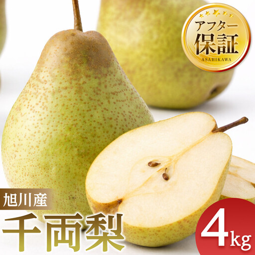 [先行予約]旭川産千両梨4kg(2026年10月中旬発送開始) 梨 _05721