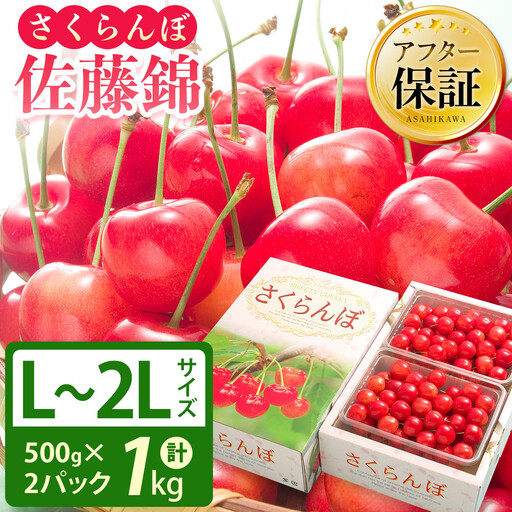 さくらんぼ佐藤錦 秀品 1kg(500g×2パック) L~2Lサイズ 手詰め (2026年7月中旬から発送開始予定)_06075