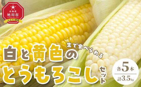 [先行予約][旭川近郊産]白と黄色のとうもろこしセット 各5本(計3.5kg)(2025年8月上旬発送開始予定) | とうもろこし とうもろこし とうもろこし とうもろこし とうもろこし コーン コーン コーン コーン コーン _00094