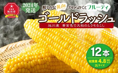 中国産 L~2L特大【天然 つぼみ 松茸 1kg】 本数 10～15本 - 野菜