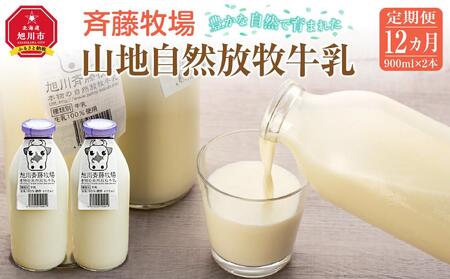 y12ցzēq̎RnRqi900ml×2{×12j b  _00578