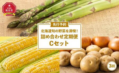 【先行予約】北海道旬の野菜を満喫！詰め合わせ定期便Cセット(3回)_02069