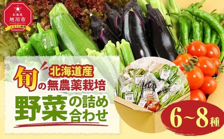 [先行予約][北海道旭川産]旬の野菜詰め合わせ[6〜8種類](栽培期間中農薬不使用・化学肥料不使用) | 野菜詰め合わせ 野菜詰め合わせ 野菜詰め合わせ 野菜詰め合わせ 野菜詰め合わせ _02944