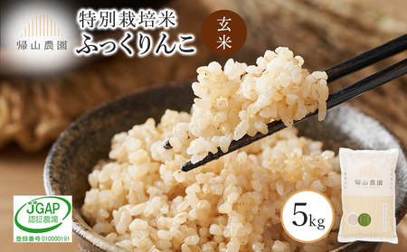 玄米 ふっくりんこ 5kg 特別栽培米産地直送[帰山農園]