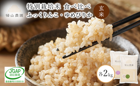 玄米 ふっくりんこ・ゆめぴりか食べ比べ 各2kg 特別栽培米産地直送[帰山農園]