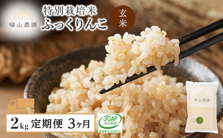[定期便 3ヶ月]特別栽培米産地直送 玄米 ふっくりんこ 2kg×3回 [帰山農園]