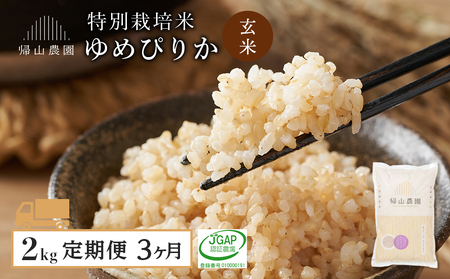 [定期便 3ヶ月]特別栽培米産地直送 玄米 ゆめぴりか 2kg×3回 [帰山農園]