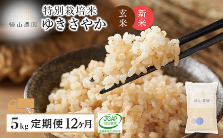 yߘa7NYVė\zy 12zʍ͔|ĎYn  䂫₩ 5kg×12 sAR_t   kC kCY