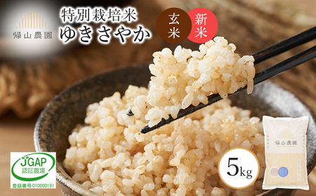 新米予約 玄米 ゆきさやか 5kg 特別栽培米産地直送[帰山農園]
