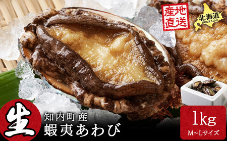 kC mY VRі1kgiM`Llߍ킹j鋙Ƌg