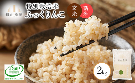 [令和7年産新米予約]玄米 ふっくりんこ 2kg 特別栽培米産地直送[帰山農園] 米 こめ 北海道産お米 北海道米 美味しいお米 北海道産米 道産米