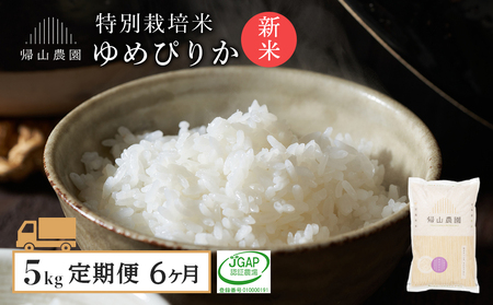 [令和7年産新米予約][6カ月定期便]特別栽培米産地直送「ゆめぴりか 5kg」[帰山農園] 米 こめ 北海道産お米 北海道米 美味しいお米 北海道産米 道産米