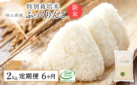 [令和7年産新米予約][6カ月定期便]特別栽培米産地直送「ふっくりんこ 2kg」[帰山農園] 米 こめ 北海道産お米 北海道米 美味しいお米 北海道産米 道産米