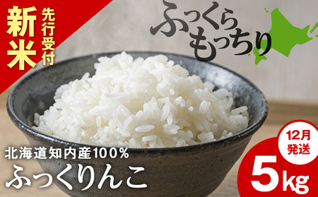 Vė\y12zӂ 5kg yJAV͂āz m ӂ邳Ɣ[  kCY kC  kCY uh