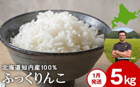 �ߘa8�N1������ �ߘa7�N�Y�ӂ������ 5kg �yJA�V�͂����āz