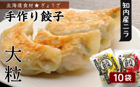 北海道の食材たっぷり!手作り餃子10袋セット[スリーエス] にら 大粒 ぎょうざ しょうが 惣菜 加工品 豚肉