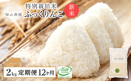 yߘa7NYVė\zy12Jցzʍ͔|ĎYn ӂ 2kg×12 sAR_t   kC kCY uh ͂ 