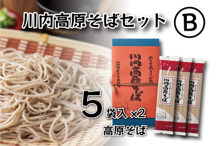 【ふるさと納税】川内高原そば セットB（乾麺） 200g×10袋