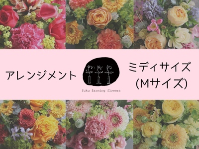 [ふるさと納税][fuku farming flowers]フラワーアレンジメント Mサイズ|ミディサイズ