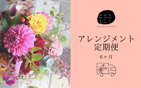 【ふるさと納税】【fuku farming flowers】フラワーアレンジメント 定期便 6ヶ月 Mサイズ