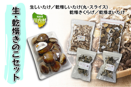 [遠藤きのこ園]生きのこ・乾燥きのこ詰め合わせセット(しいたけ・きくらげ・まいたけ)