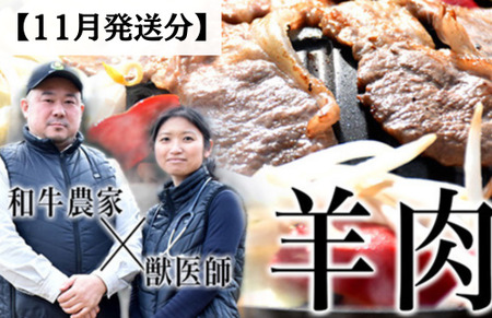 メルティーシープ ジンギスカン肉 250g(250g×1パック) ホゲット 国産サフォーク種 羊肉 液体急速冷凍
