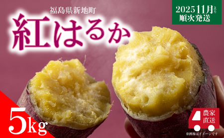 VnY g͂邩 ܂ 5kg @2025N11ȍ~