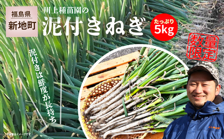 新地町産 泥付き長ネギ 約5kg 1箱 | 野菜 やさい 食品 人気 おすすめ 送料無料 ねぎ ネギ 葱 長ねぎ お取り寄せ 福島県 新地町 白ねぎ 鍋