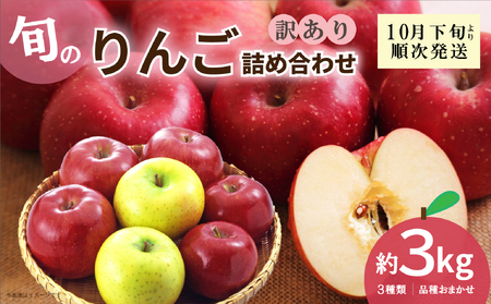 VnY  lߍ킹 󂠂 3kg 1 | ʕ  S t[c { Yn _ƒ Hi lC     Vn A 킯 tƂ炸