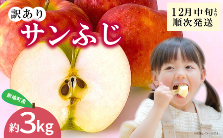 新地町産 りんご サンふじ 訳あり 約3kg 1箱 | 果物 くだもの リンゴ フルーツ 旬 産地直送 農家直送 食品 人気 おすすめ 送料無料 お取り寄せ 福島県 新地町 訳アリ わけあり 葉とらず サンフジ フジ